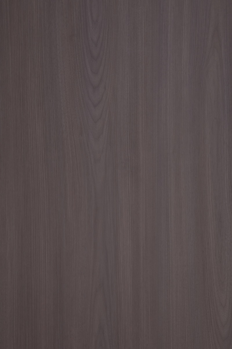 泰尔斯